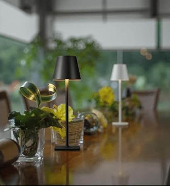 Cordless Table lamps (Set of 2)